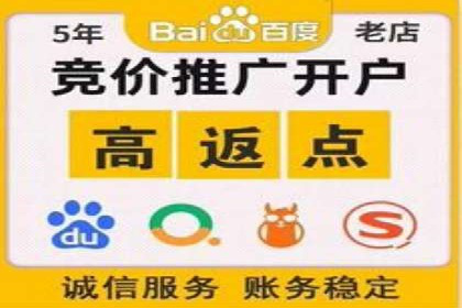 sem竞价托管代运营的实战技巧与案例